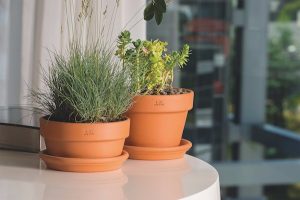 degrea doniczka standard pot 2 semer 1